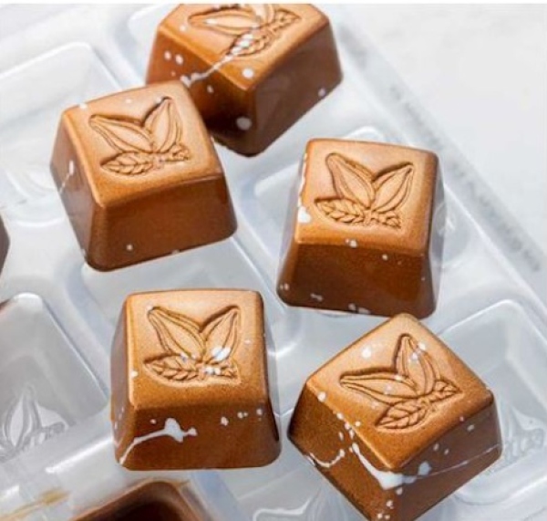 Praline "Kakaobohne" - 24 Stück á  10g
